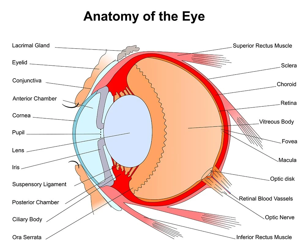 Chemical Eye Injuries in the Workplace